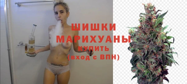 шишки Володарск