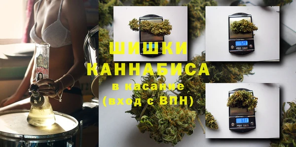 шишки Володарск
