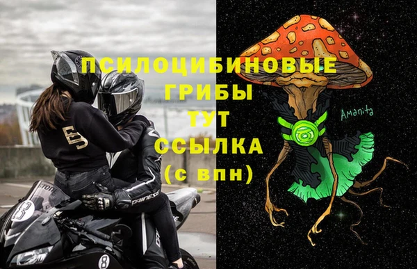 бошки Рославль
