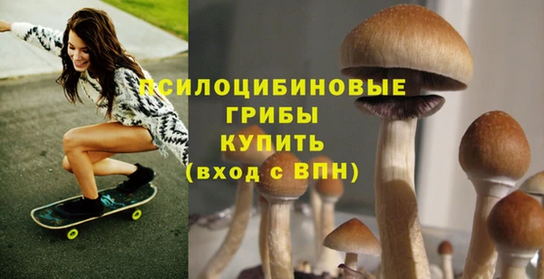 молекула духа Россошь