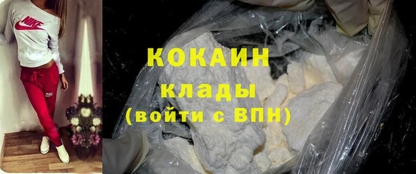 шишки Володарск